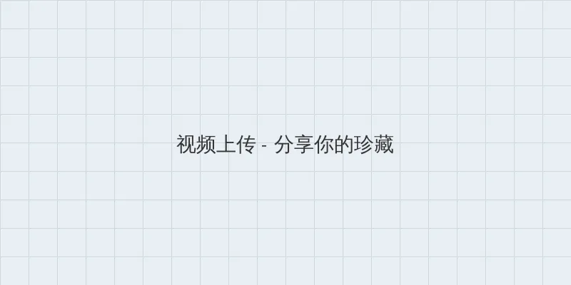 老板那里是XL接档 视频上传区域